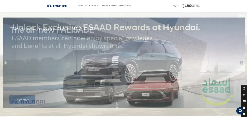 Hyundai project preview
